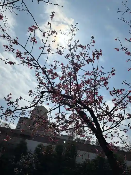 西新井大師総持寺の{uncategorized: "未分類", other: "その他", undefined: "問題あり", building: "その他建物", grave: "お墓", sacred_gate: "鳥居", guardian: "狛犬", statue: "像", buddha: "仏像", history: "歴史", nature: "自然", garden: "庭園", animal: "動物", pagoda: "塔", temizu: "手水舎", mountain_gate: "山門・神門", sanctuary: "本殿・本堂", subordinate: "末社・摂社", art: "芸術", scenery: "景色", jizo: "地蔵", ema: "絵馬", goshuin: "御朱印", omikuji: "おみくじ", items: "授与品その他", amulet: "お守り", goshuincho: "御朱印帳", eats: "食事", festival: "お祭り", votive_dance: "神楽", shichigosan: "七五三参", wedding: "結婚式", experience: "体験その他", initially: "初詣", around: "周辺", anti_infection: "感染症対策"}