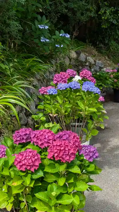 善峯寺(京都府)