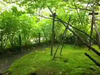 安國論寺(安国論寺)の庭園