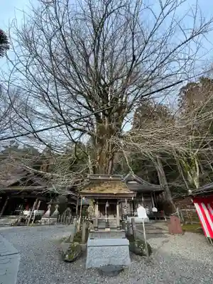 正法寺(滋賀県)