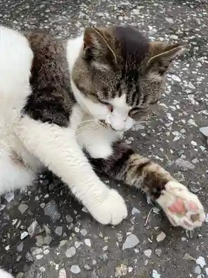 白山神社(東京都)