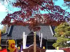 泉岳寺(東京都)