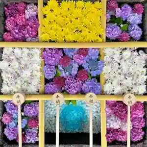 土津神社|こどもと出世の神さま(福島県)(2024年07月11日(木) 15時13分42秒投稿)