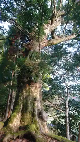 稲葉神社の自然