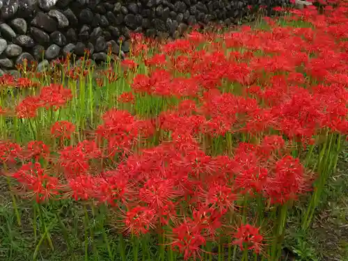 横浜　西方寺の自然
