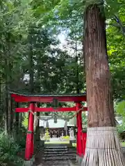 竃神社の鳥居