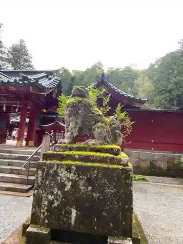 九頭龍神社本宮の狛犬