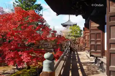 真正極楽寺(真如堂)(京都府)