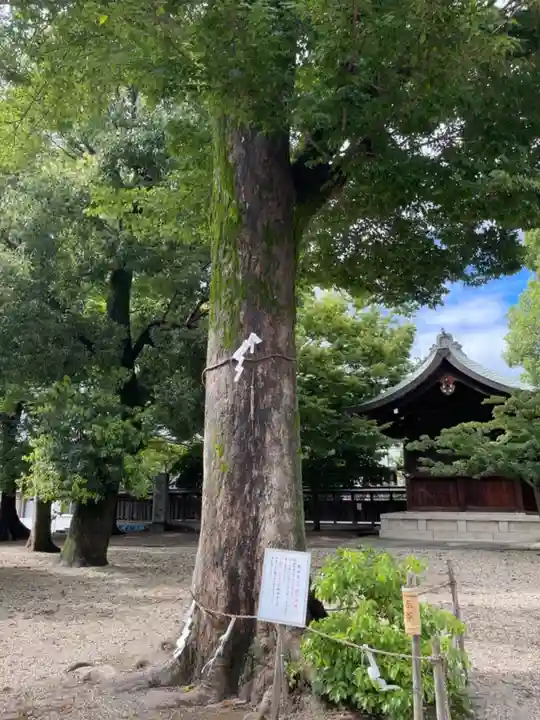 伴林氏神社のその他建物