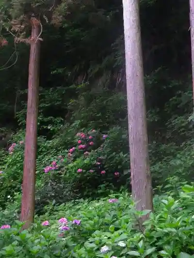 御霊神社の自然