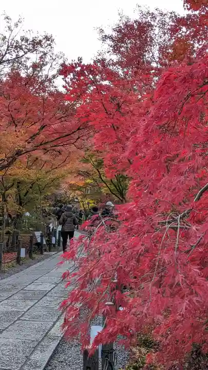 禅林寺(永観堂)(京都府)