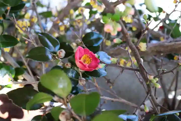 三津厳島神社(愛媛県)