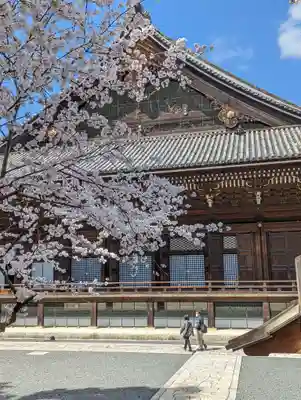 知恩院(京都府)