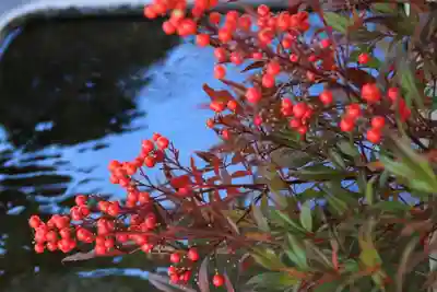 高司神社〜むすびの神の鎮まる社〜の手水舎