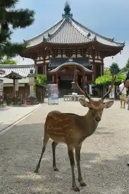 興福寺 南円堂(奈良県)