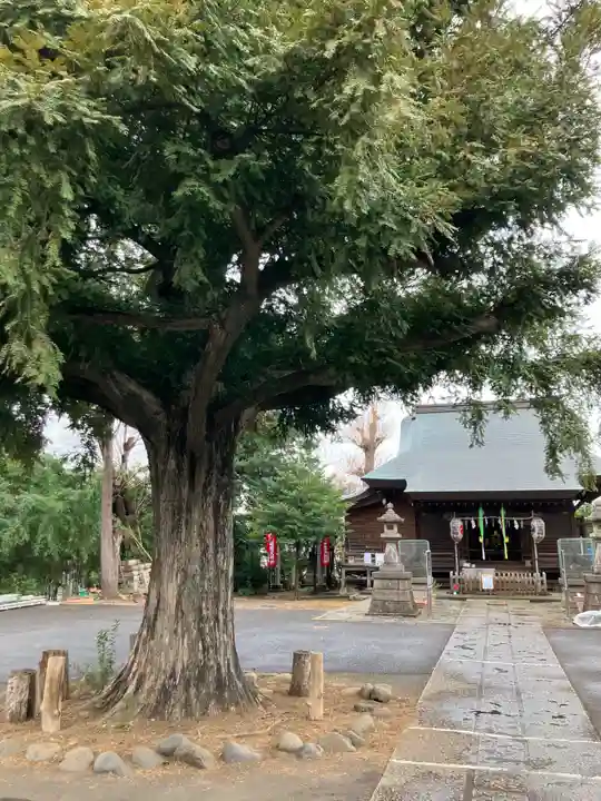 御霊神社(東京都)