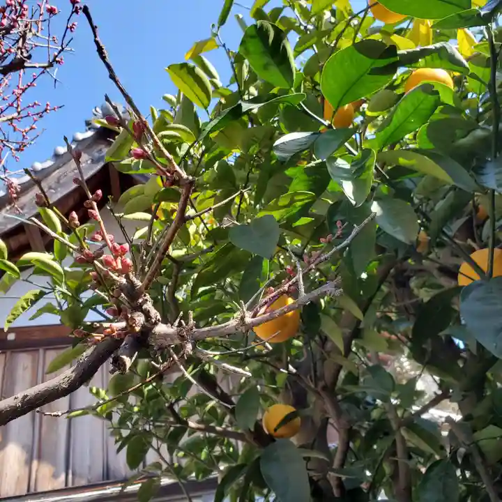 先宮神社の自然