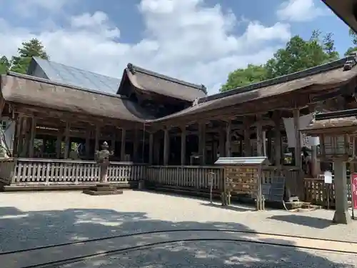 土佐神社の本殿・本堂