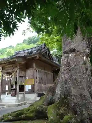 大津山阿蘇神社(熊本県)