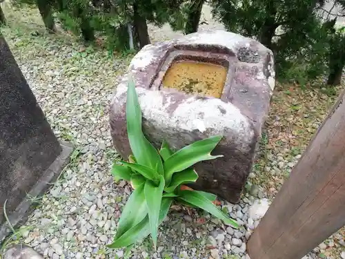 蛭子神社（出羽島）の手水