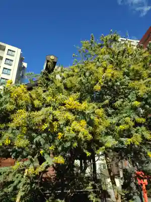 蔵前神社(東京都)