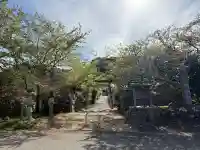 松尾神社の{uncategorized: "未分類", other: "その他", undefined: "問題あり", building: "その他建物", grave: "お墓", sacred_gate: "鳥居", guardian: "狛犬", statue: "像", buddha: "仏像", history: "歴史", nature: "自然", garden: "庭園", animal: "動物", pagoda: "塔", temizu: "手水舎", mountain_gate: "山門・神門", sanctuary: "本殿・本堂", subordinate: "末社・摂社", art: "芸術", scenery: "景色", jizo: "地蔵", ema: "絵馬", goshuin: "御朱印", omikuji: "おみくじ", items: "授与品その他", amulet: "お守り", goshuincho: "御朱印帳", eats: "食事", festival: "お祭り", votive_dance: "神楽", shichigosan: "七五三参", wedding: "結婚式", experience: "体験その他", initially: "初詣", around: "周辺", anti_infection: "感染症対策"}