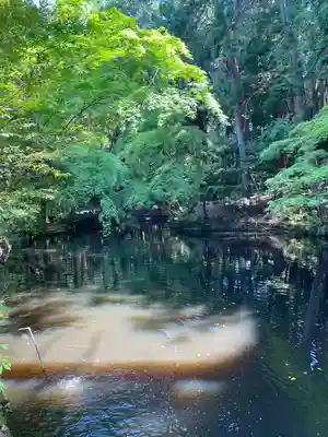 石上神宮(奈良県)