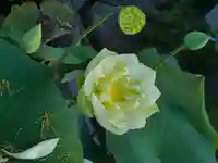 極楽山 浄土寺(北海道)