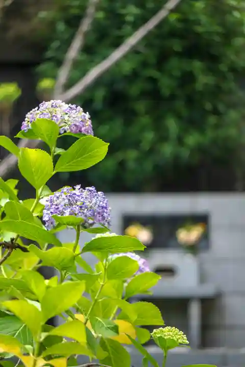 正安寺(神奈川県)