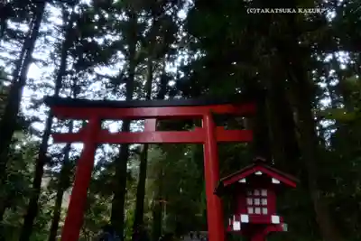 箱根神社(神奈川県)