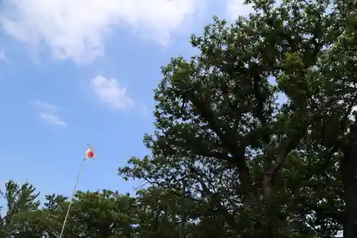 手稲神社の自然