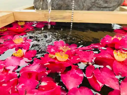 總社 和田八幡宮の手水舎