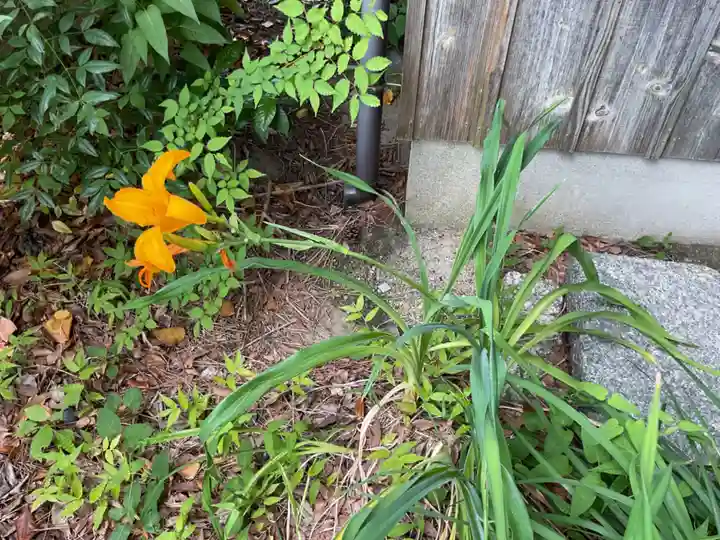 光照寺(愛知県)
