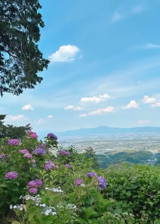 善峯寺(京都府)