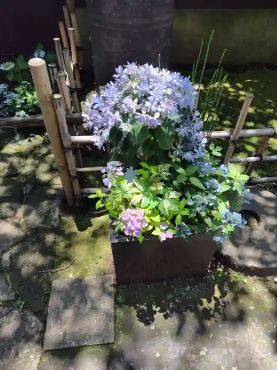 上野東照宮(東京都)