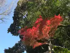 検見川神社の自然