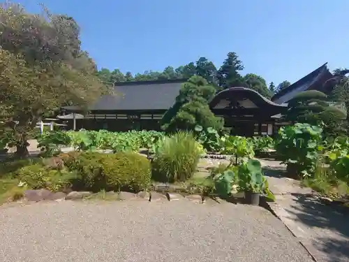 放光寺の本殿