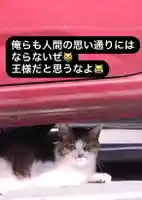 専念寺(大阪府)