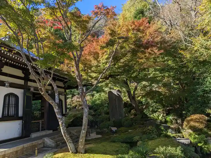 長谷寺(神奈川県)