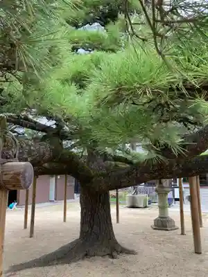 本福寺(滋賀県)
