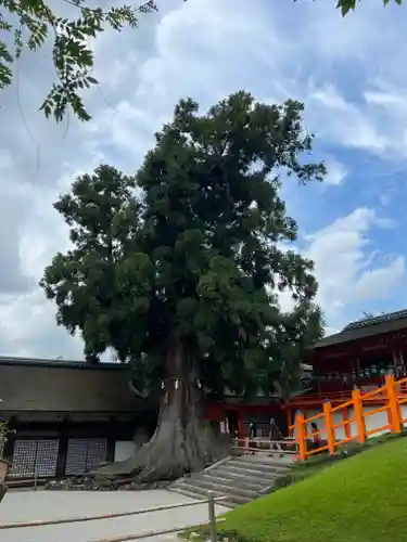 春日大社の自然