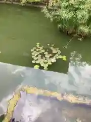 市原稲荷神社の庭園