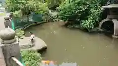 比々多神社の庭園