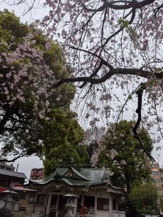 荻窪白山神社(東京都)