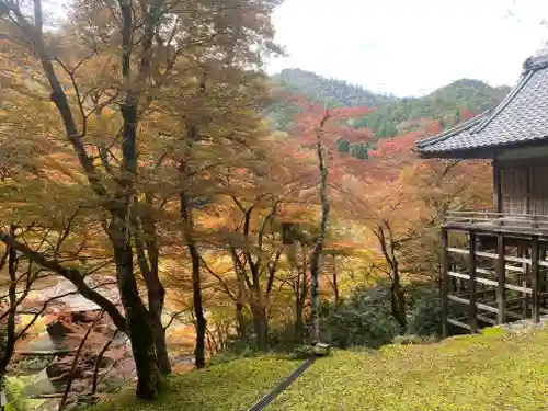 金剛院(京都府)