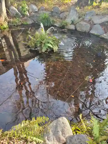 秩父今宮神社の庭園