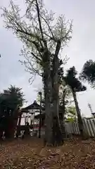 楯縫神社(兵庫県)