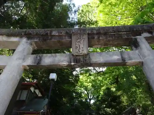 五所神社の鳥居