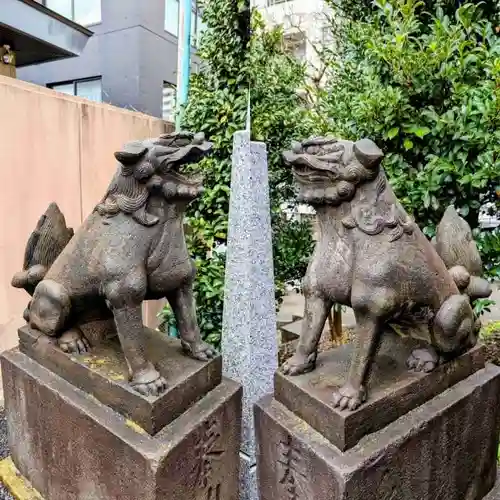 白金氷川神社の狛犬