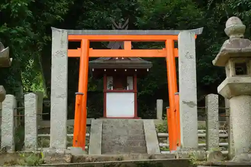 三井神社の本殿・本堂